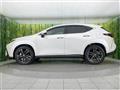 2025 Lexus NX