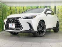 2025 Lexus NX