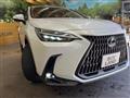 2023 Lexus NX
