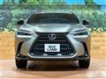 2025 Lexus NX