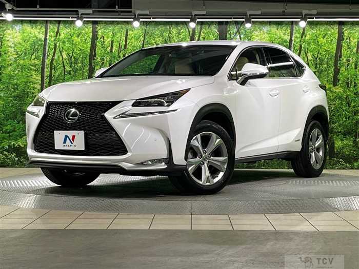 2016 Lexus NX