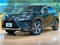 2018 Lexus NX