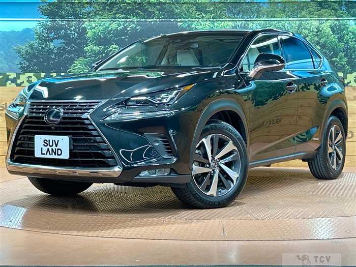 2018 Lexus NX
