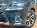 2018 Lexus NX