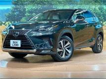 2018 Lexus NX
