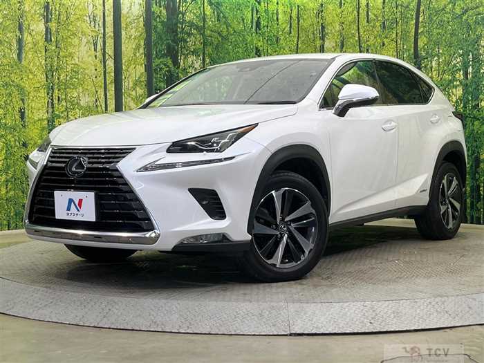 2019 Lexus NX