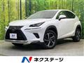 2019 Lexus NX
