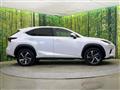 2019 Lexus NX