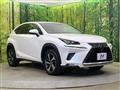 2019 Lexus NX