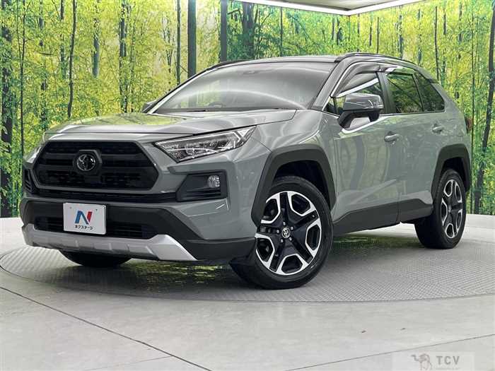 2019 Toyota RAV4