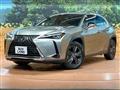 2019 Lexus Other