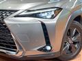 2019 Lexus Other