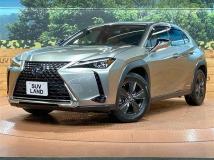 2019 Lexus Other