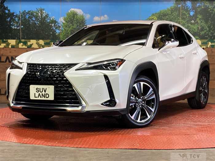 2023 Lexus Other
