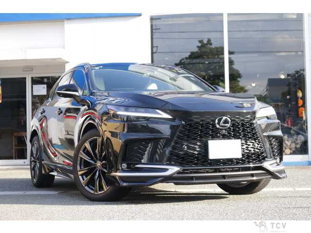2025 Lexus RX
