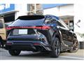 2025 Lexus RX
