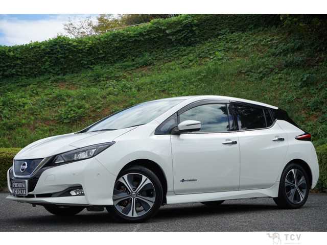 2018 Nissan Nissan Others