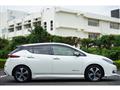 2018 Nissan Nissan Others