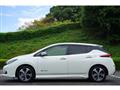 2018 Nissan Nissan Others