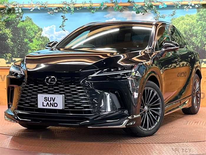 2024 Lexus RX
