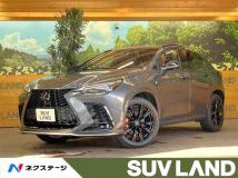 2022 Lexus NX