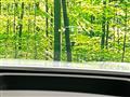 2022 Lexus NX