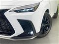 2022 Lexus NX