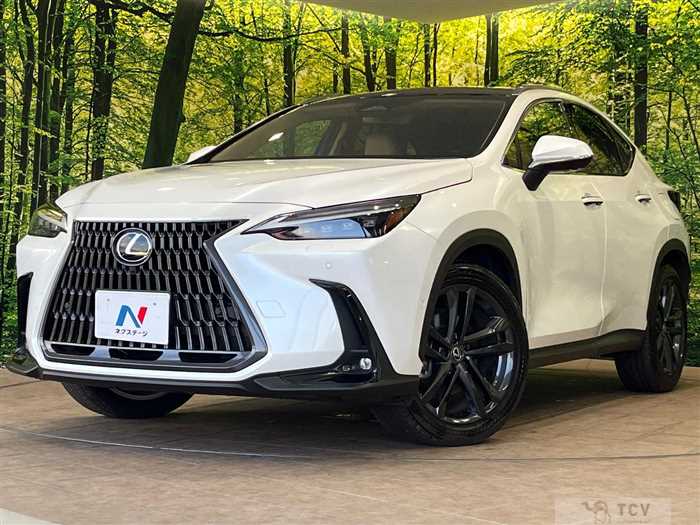 2024 Lexus NX