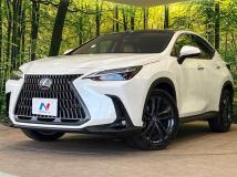 2024 Lexus NX