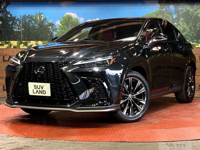 2024 Lexus NX