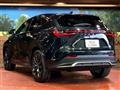 2024 Lexus NX