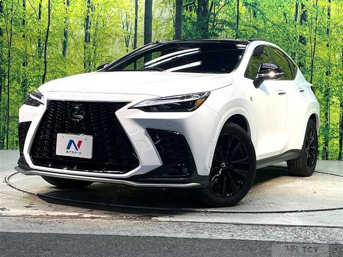 2024 Lexus NX