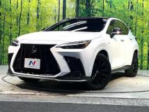 2024 Lexus NX