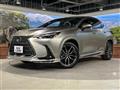2025 Lexus NX
