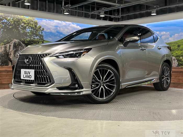 2025 Lexus NX