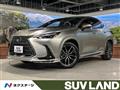 2025 Lexus NX