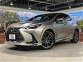 2025 Lexus NX