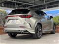 2025 Lexus NX