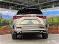 2025 Lexus NX