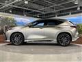 2025 Lexus NX