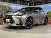 2025 Lexus NX