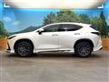 2025 Lexus NX