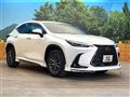 2025 Lexus NX