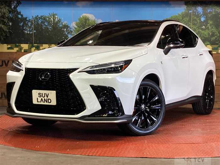 2025 Lexus NX