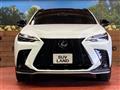 2025 Lexus NX
