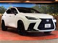 2025 Lexus NX