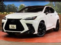 2023 Lexus NX