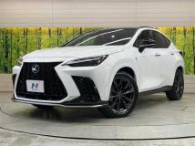 2022 Lexus NX