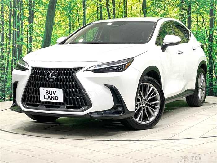 2023 Lexus NX