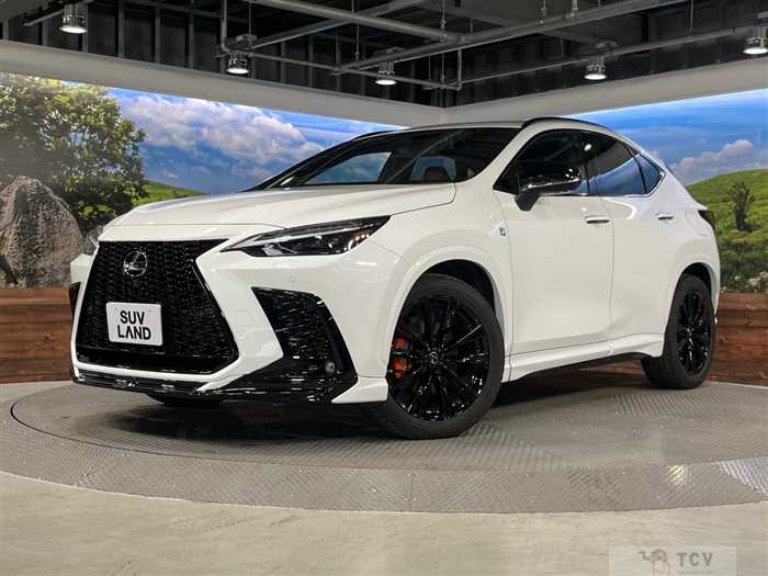 2022 Lexus NX